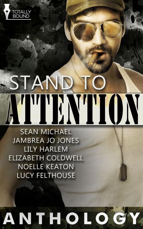 Cover of the book Stand to Attention by Sean Michael, Jambrea Jo Jones, Lily Harlem, Totally Entwined Group Ltd