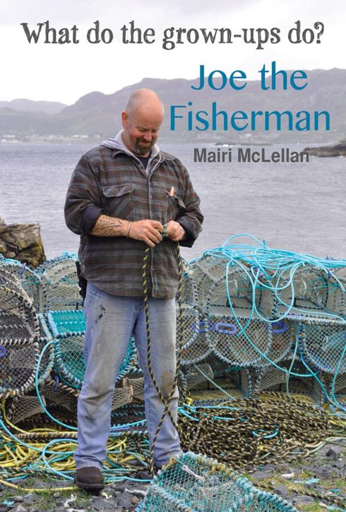 Cover of the book Joe the Fisherman by Mairi McLellan, Troubador Publishing Ltd