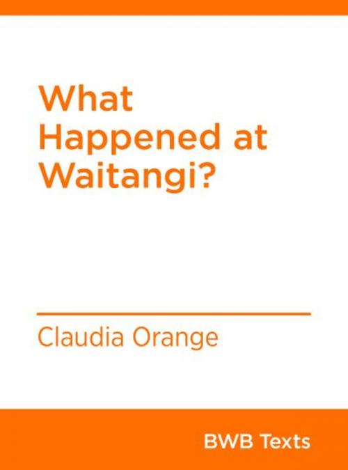 Cover of the book What Happened at Waitangi? by Claudia Orange, Bridget Williams Books