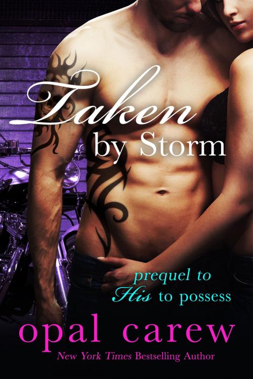 Cover of the book Taken By Storm by Opal Carew, Opal Carew
