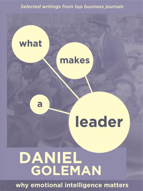 Cover of the book What Makes a Leader: Why Emotional Intelligence Matters by Daniel Goleman, More Than Sound