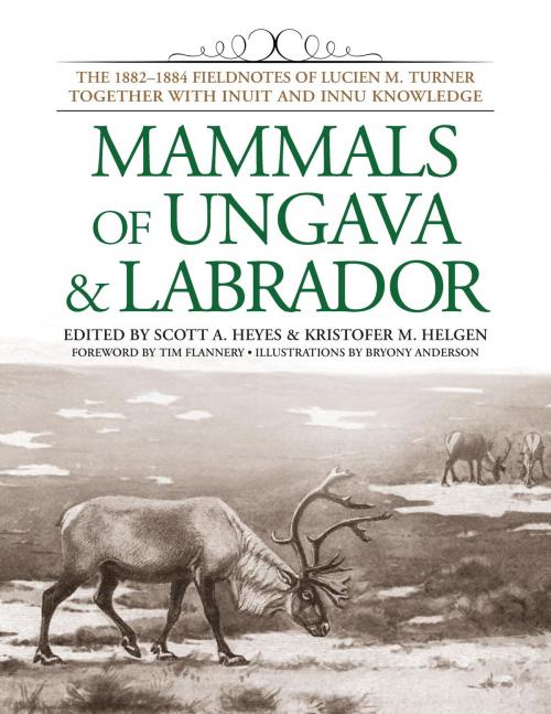 Cover of the book Mammals of Ungava and Labrador by , Smithsonian