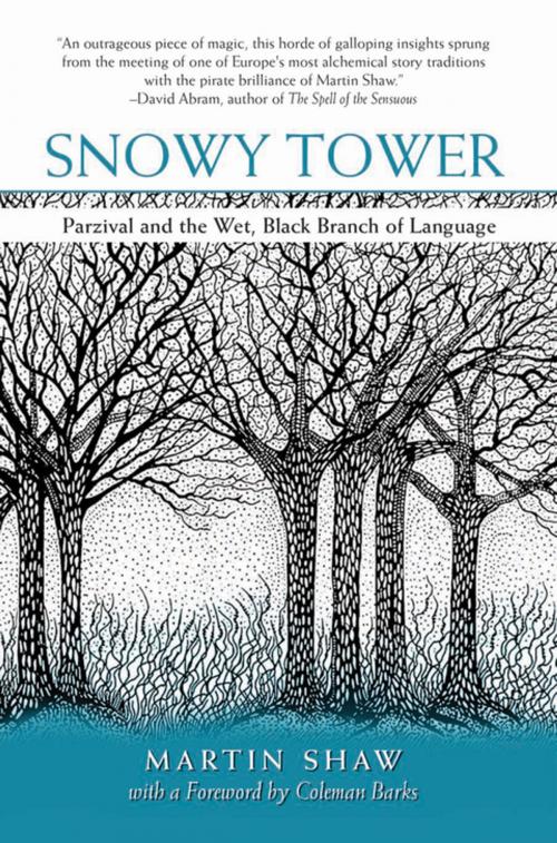 Cover of the book Snowy Tower by Martin Shaw, White Cloud Press