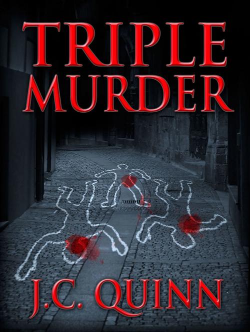 Cover of the book Triple Murder by J.C. Quinn, J.C. Quinn