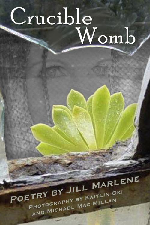Cover of the book Crucible Womb by Jill Marlene, Jill Marlene