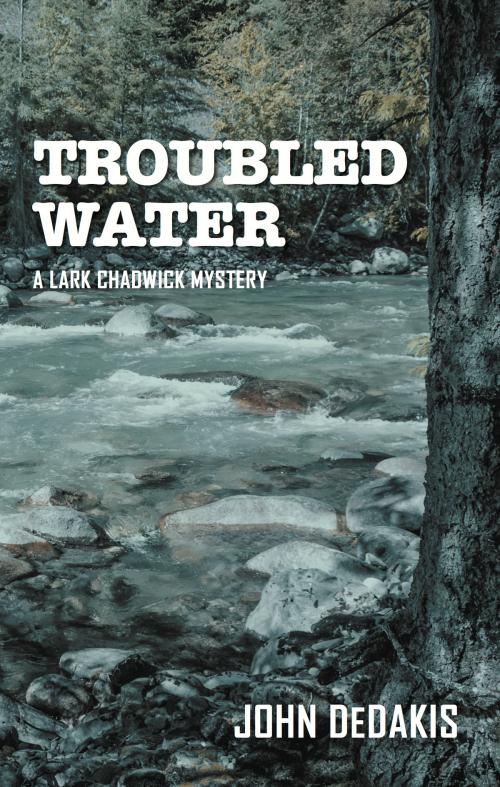 Cover of the book Troubled Water by John Dedakis, Cardinal Publishers Group
