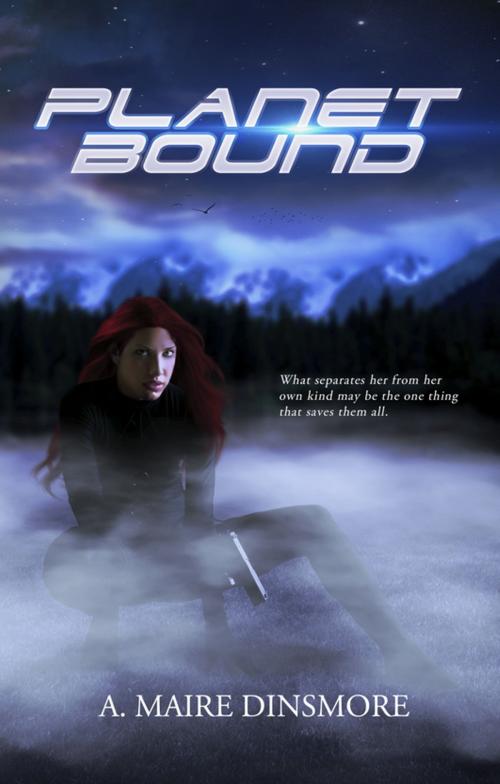 Cover of the book Planet Bound by A. Maire Dinsmore, A. Maire Dinsmore