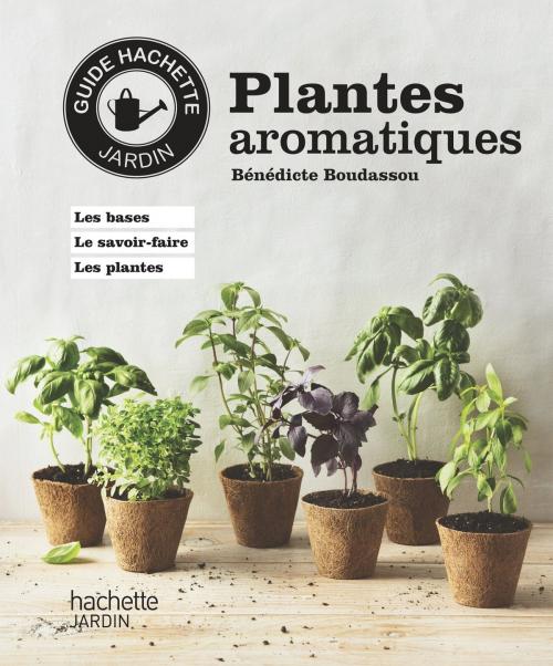 Cover of the book Plantes aromatiques by Bénédicte Boudassou, Hachette Pratique