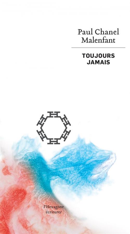 Cover of the book Toujours jamais by Paul Chanel Malenfant, Les Éditions de l'Hexagone