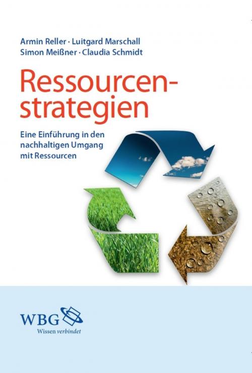 Cover of the book Ressourcenstrategien by , wbg Academic