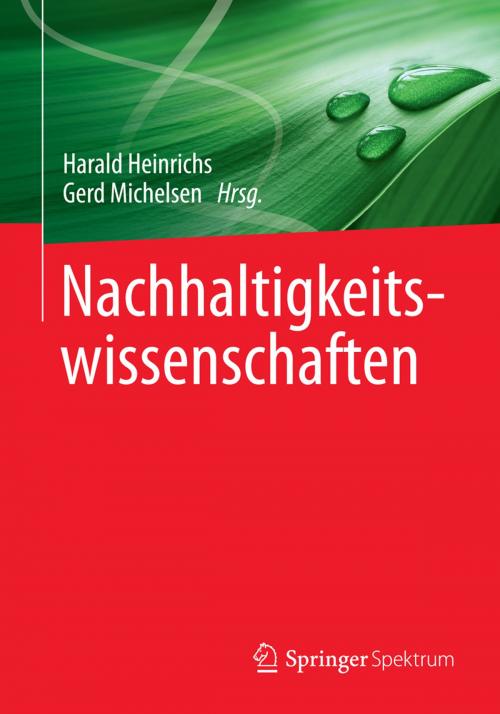 Cover of the book Nachhaltigkeitswissenschaften by , Springer Berlin Heidelberg