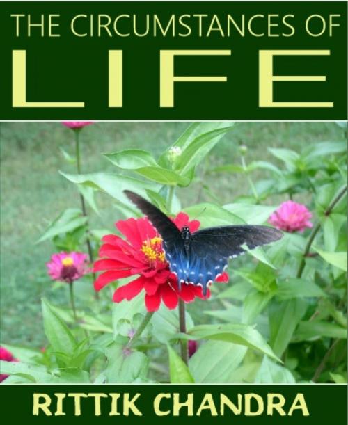 Cover of the book The Circumstances of Life by Rittik Chandra, BookRix