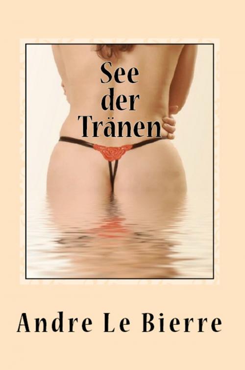 Cover of the book See der Tränen by Andre Le Bierre, BoD E-Short
