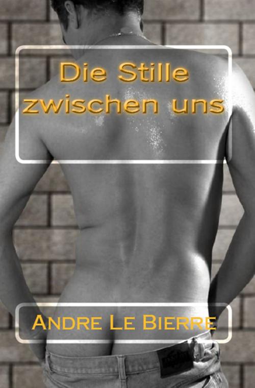 Cover of the book Die Stille zwischen uns by Andre Le Bierre, BoD E-Short