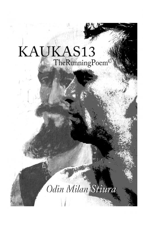 Cover of the book KAUKAS13 by Odin Milan Stiura, Books on Demand