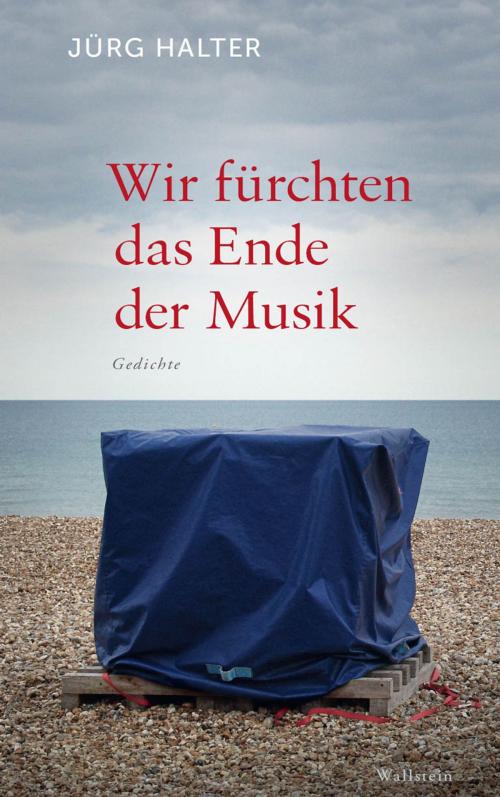 Cover of the book Wir fürchten das Ende der Musik by Jürg Halter, Wallstein Verlag