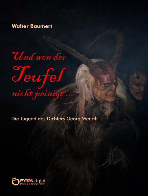 Cover of the book Und wen der Teufel nicht peinigt ... by Walter Baumert, EDITION digital