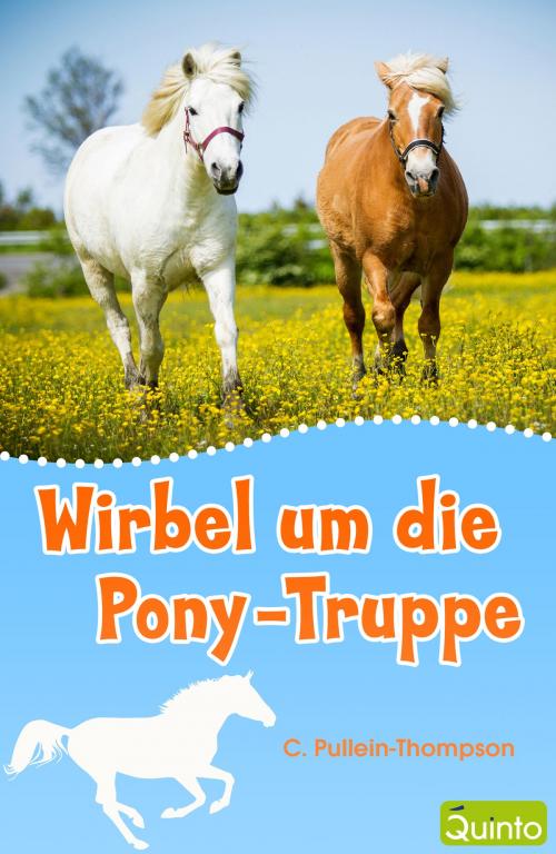 Cover of the book Wirbel um die Pony-Truppe by C. Pullein-Thompson, Quinto