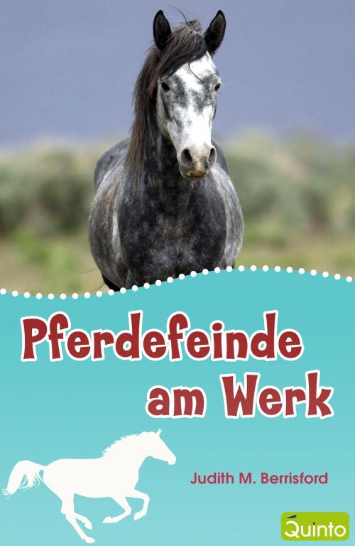 Cover of the book Pferdefeinde am Werk by Judith M. Berrisford, Quinto