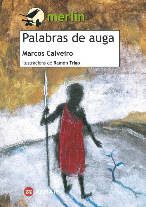 Cover of the book Palabras de auga by Marcos Calveiro, Edicións Xerais