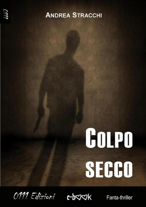 Cover of the book Colpo secco by Andrea Stracchi, 0111 Edizioni