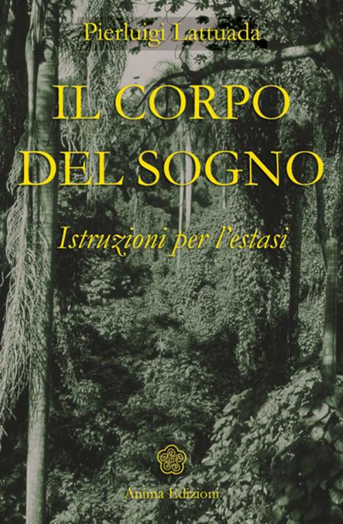 Cover of the book Corpo del Sogno (Il) by Pierluigi Lattuada, Anima Edizioni