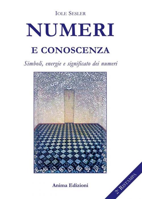 Cover of the book Numeri e conoscenza by Iole Sesler, Anima Edizioni