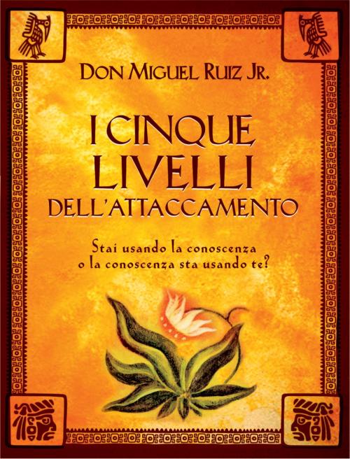 Cover of the book I cinque livelli dell'attaccamento by Miguel Jr. Ruiz, Edizioni il Punto d'Incontro