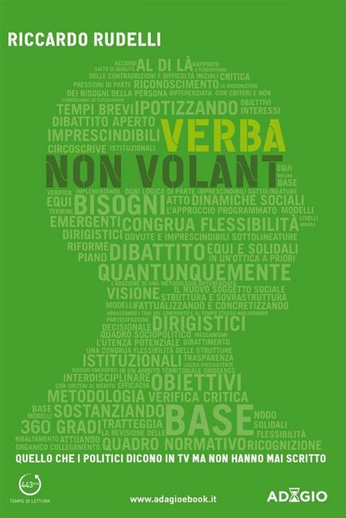 Cover of the book Verba non volant by Riccardo Rudelli, Casaleggio Associati