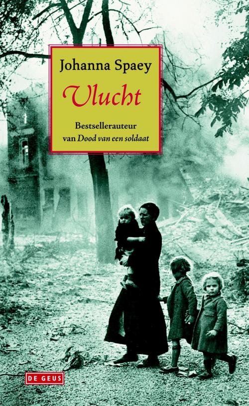 Cover of the book Vlucht by Johanna Spaey, Singel Uitgeverijen