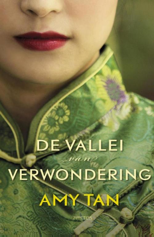 Cover of the book De vallei van verwondering by Amy Tan, Prometheus, Uitgeverij