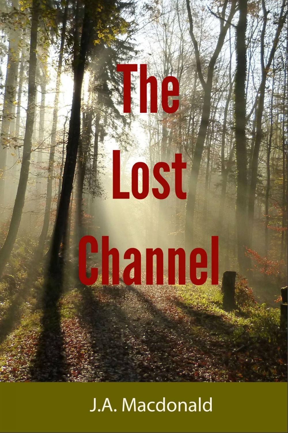 Big bigCover of The Lost Channel