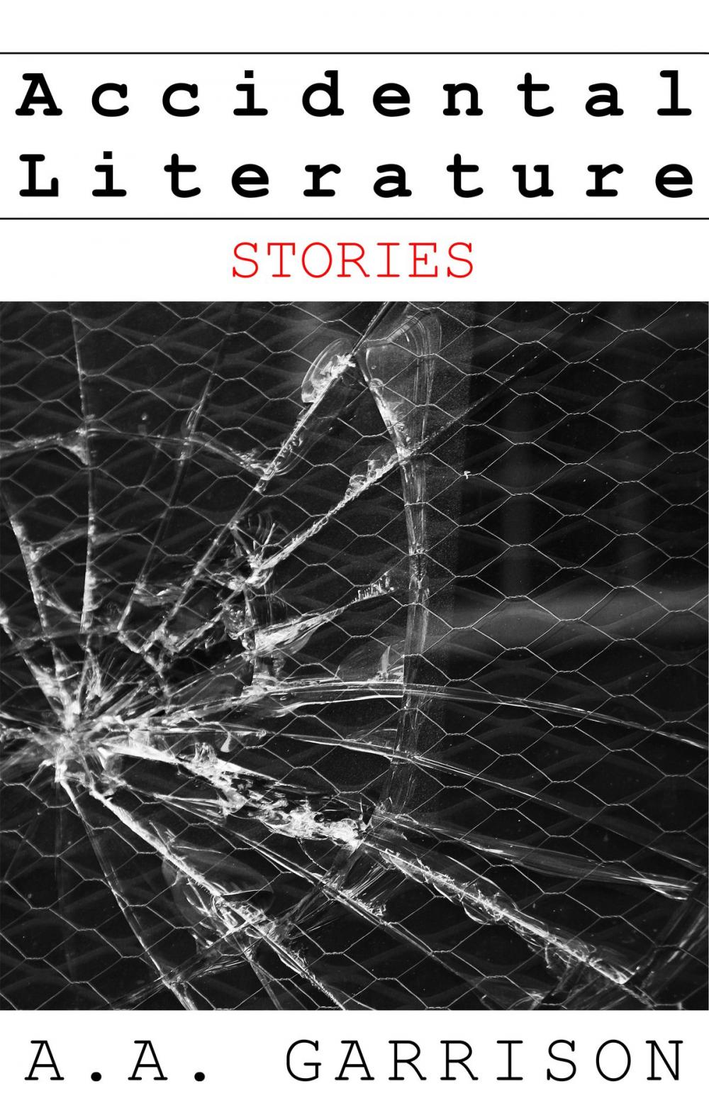 Big bigCover of Accidental Literature: Stories