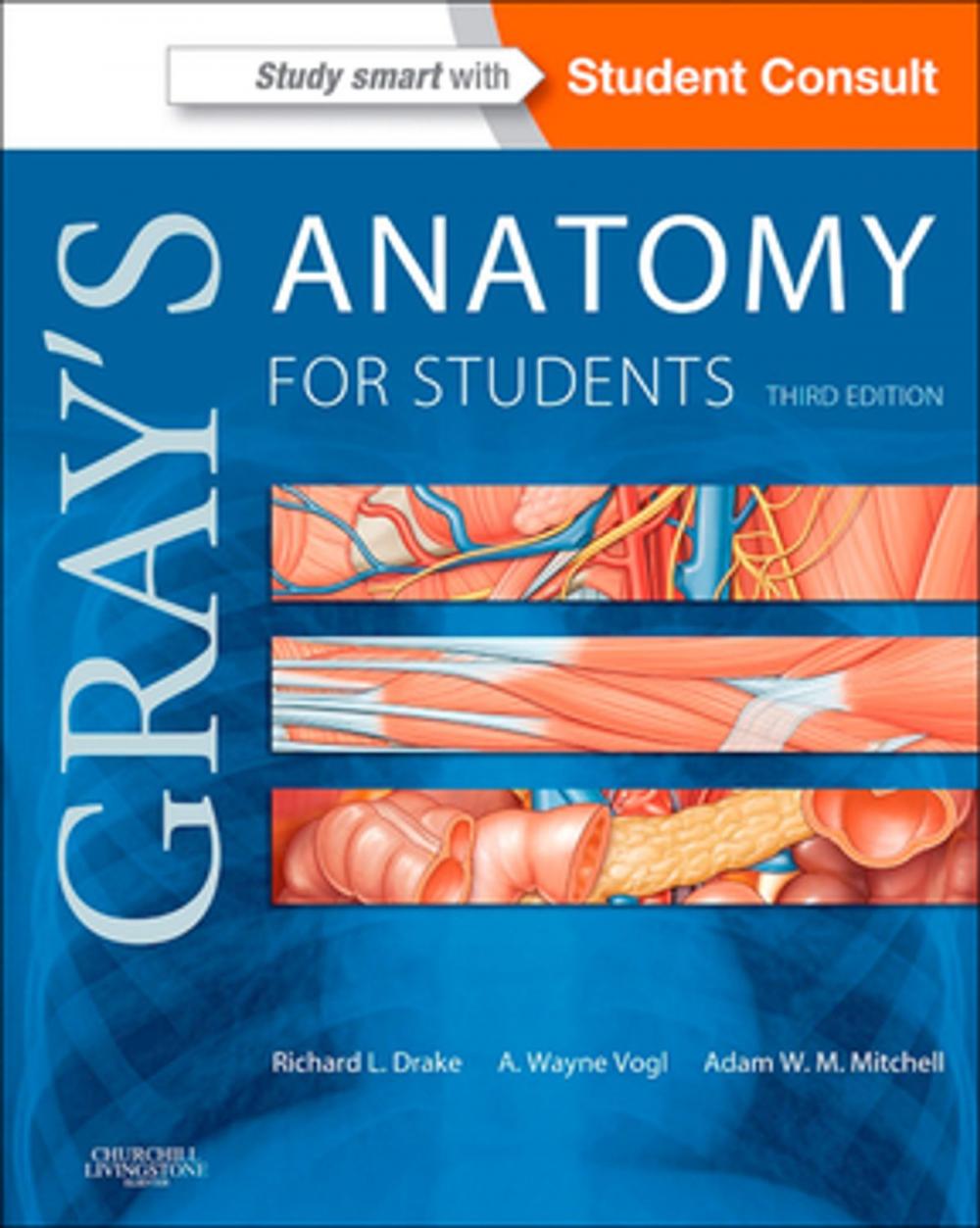 Big bigCover of Gray's Anatomy for Students E-Book