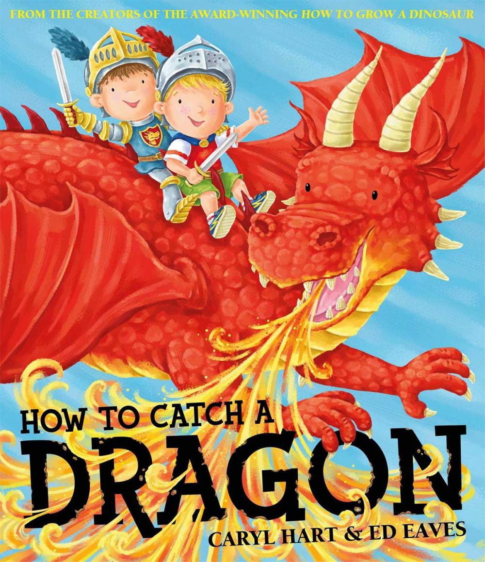 Big bigCover of How To Catch a Dragon