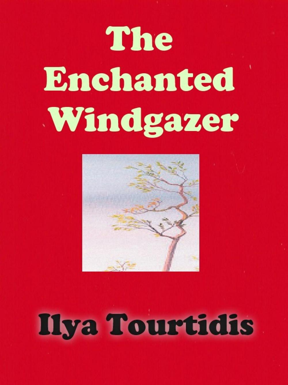 Big bigCover of The Enchanted Windgazer