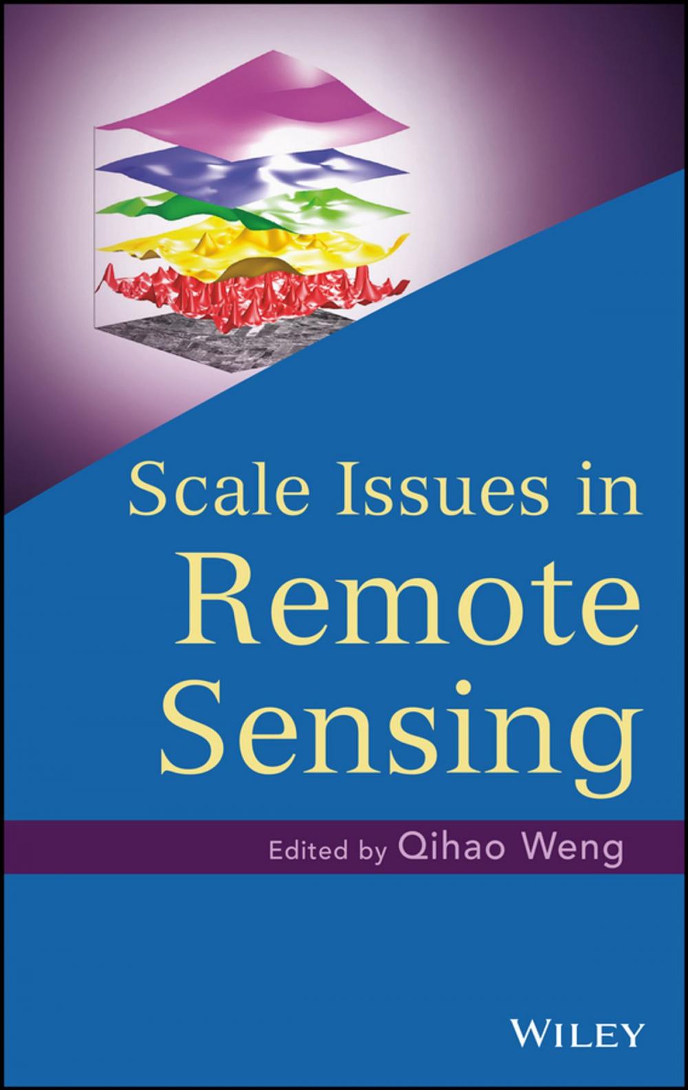 Big bigCover of Scale Issues in Remote Sensing