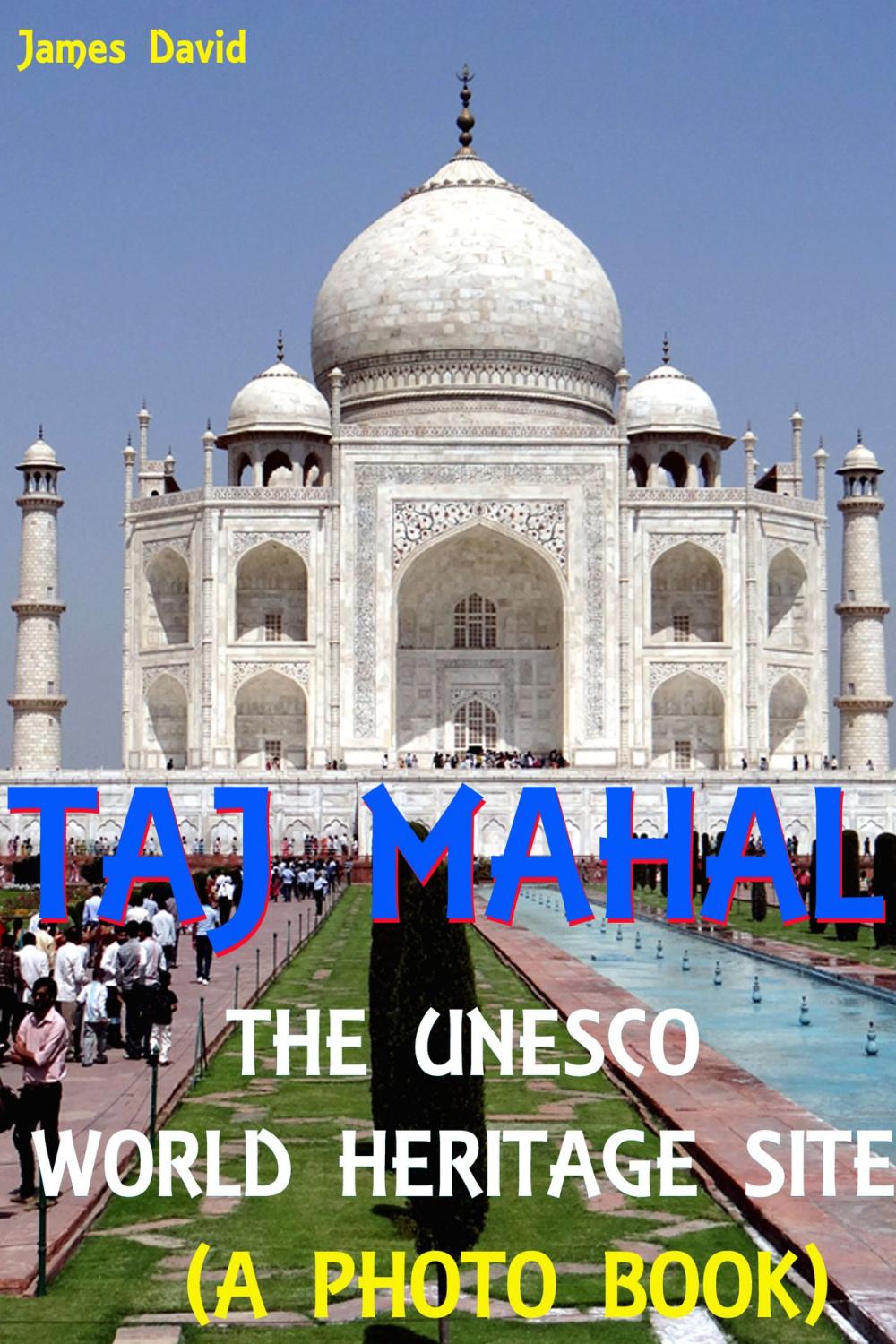 Big bigCover of Taj Mahal : The Unesco World Heritage Site (A Photo Book)