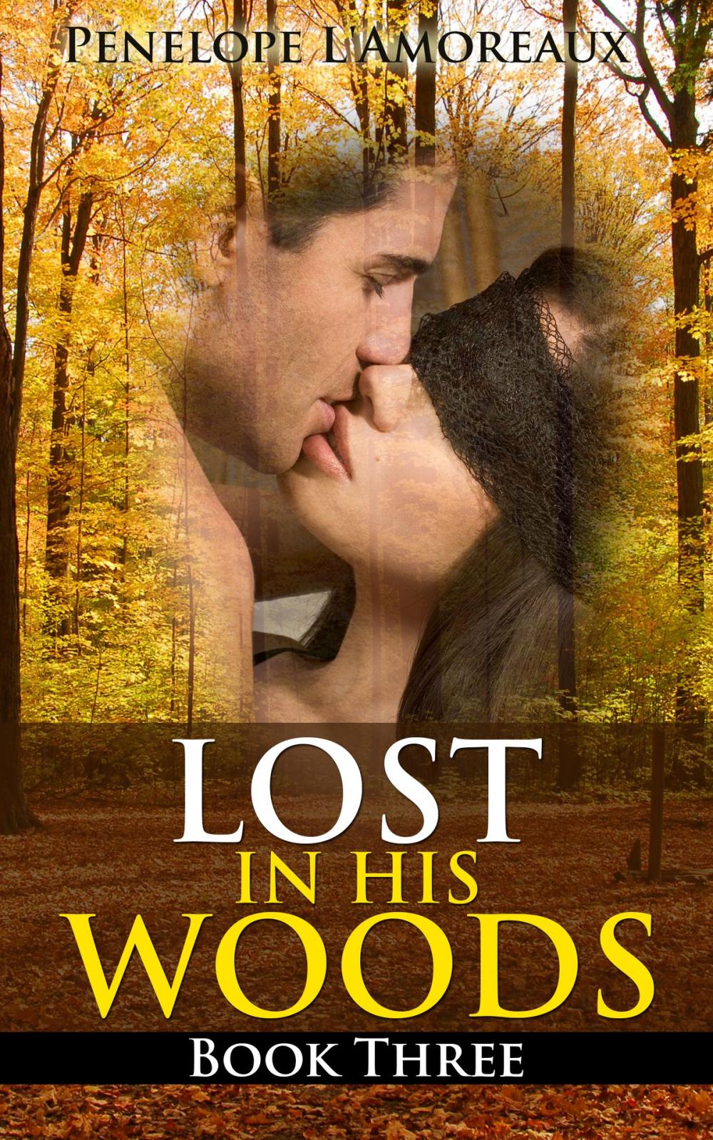 Big bigCover of Lost in His Woods: Book Three (a BDSM Story)