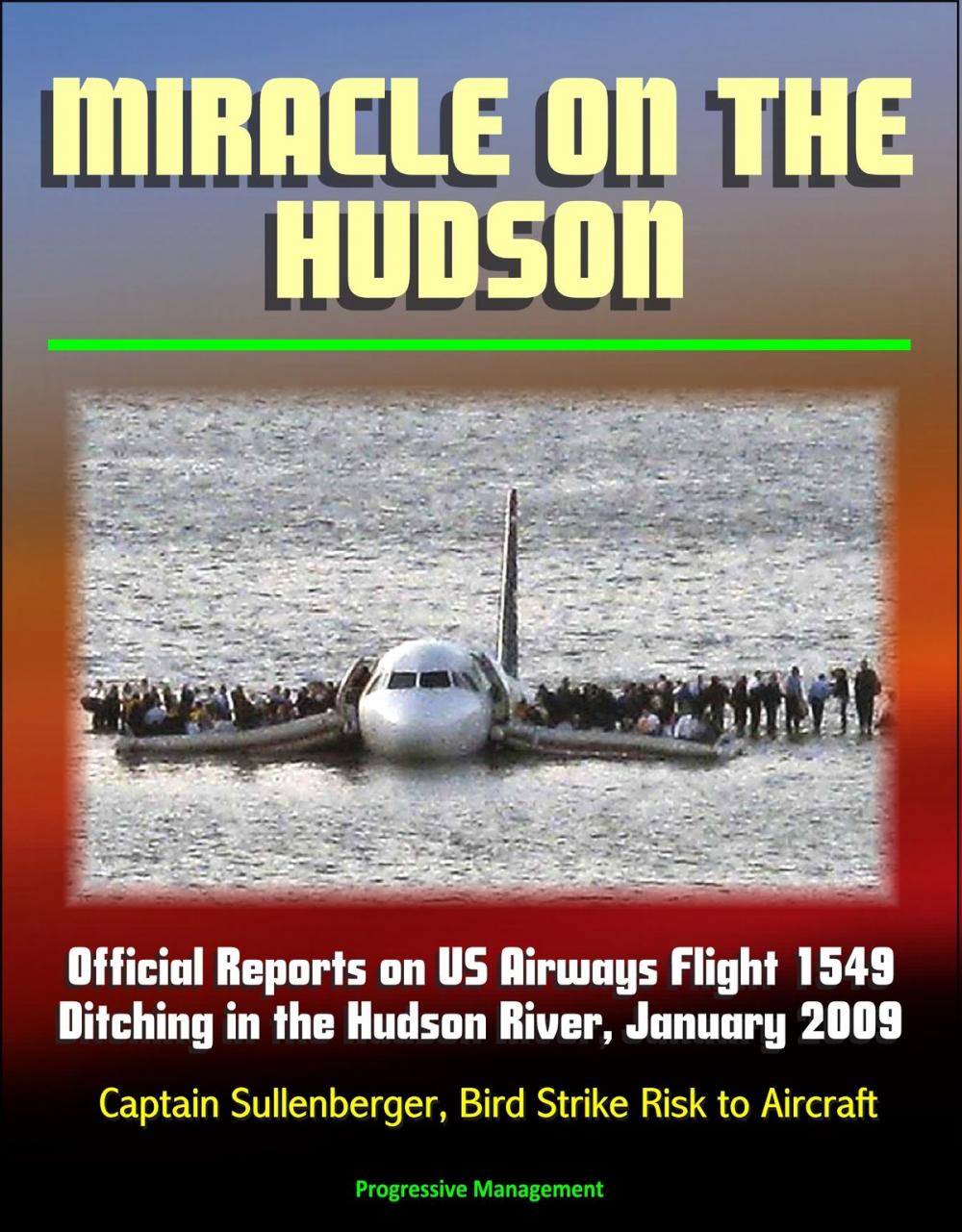Big bigCover of Miracle on the Hudson: Official Reports on US Airways Flight 1549 Ditching in the Hudson River, January 2009, Captain Sullenberger, Bird Strike Risk to Aircraft