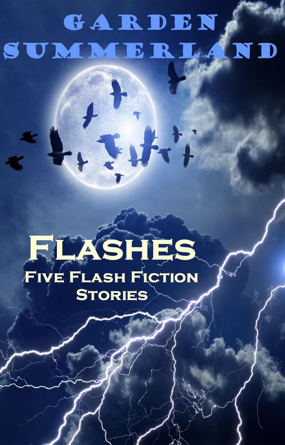Big bigCover of Flashes: Five Flash Fiction Stories
