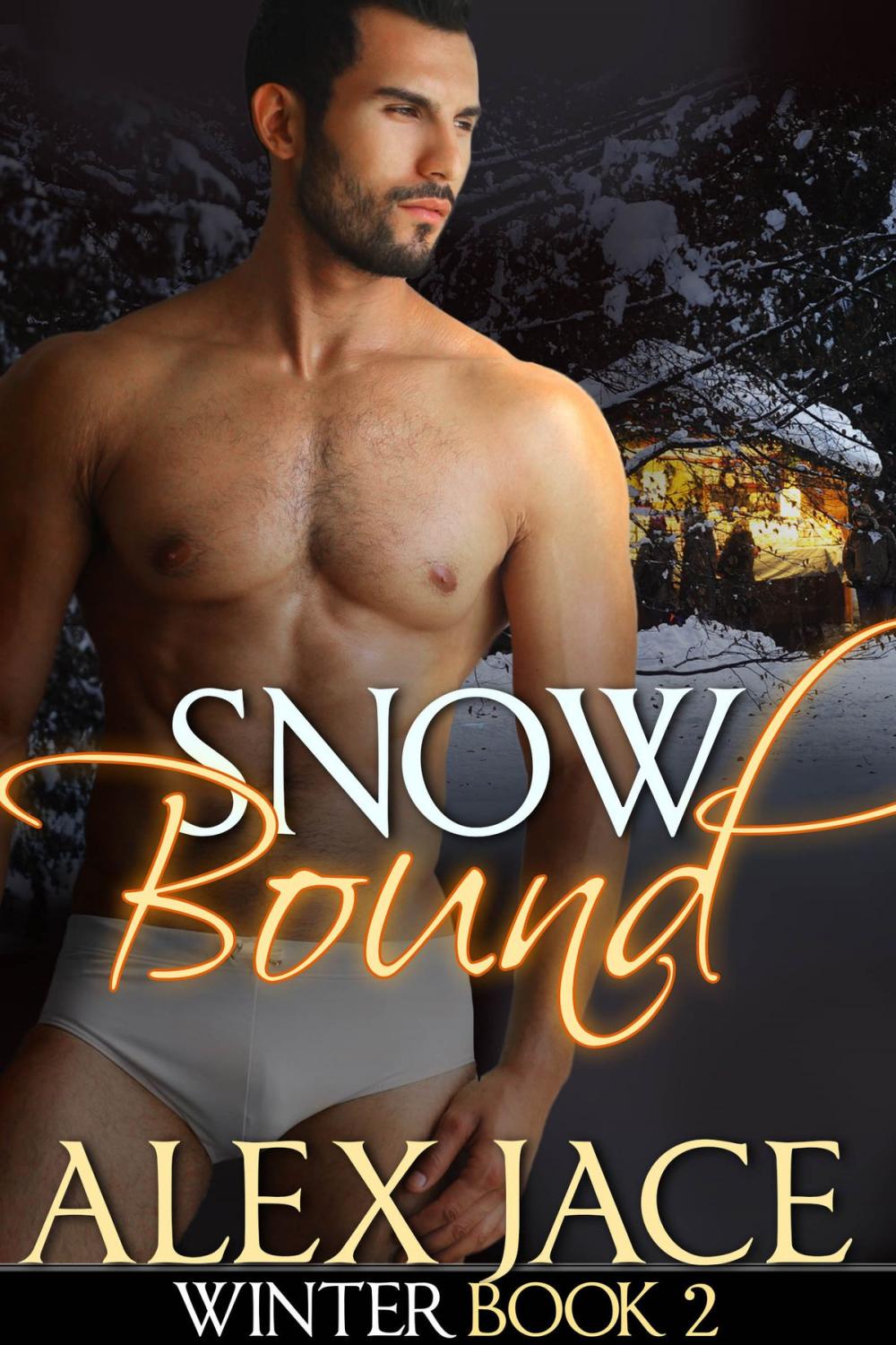 Big bigCover of Snowbound (Winter #2)