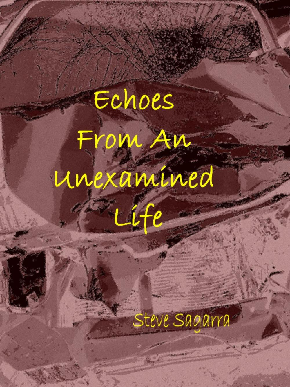 Big bigCover of Echoes From An Unexamined Life