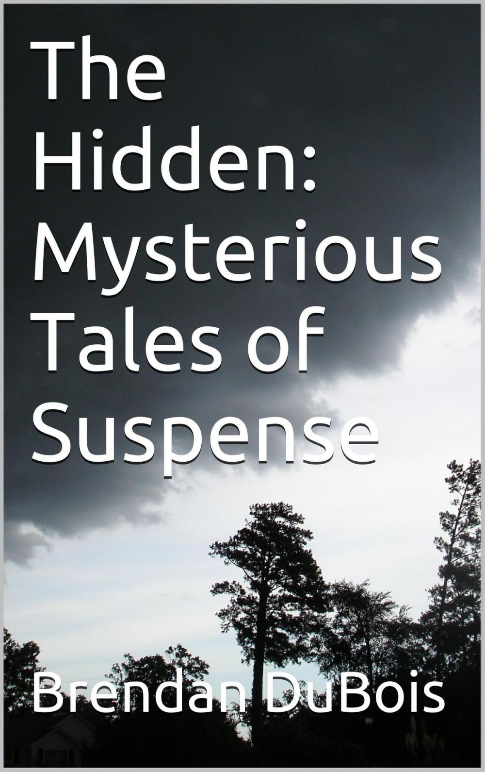 Big bigCover of The Hidden: Mysterious Tales of Suspense