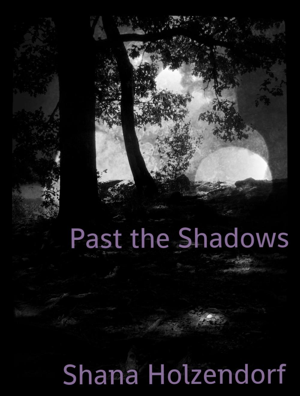 Big bigCover of Past The Shadows