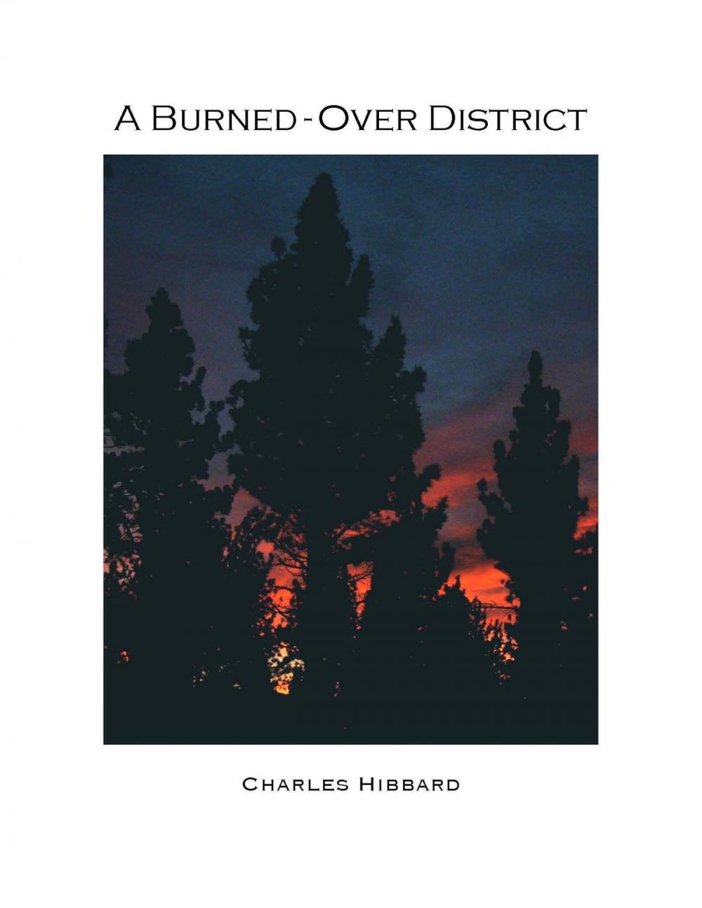 Big bigCover of A Burned-Over District