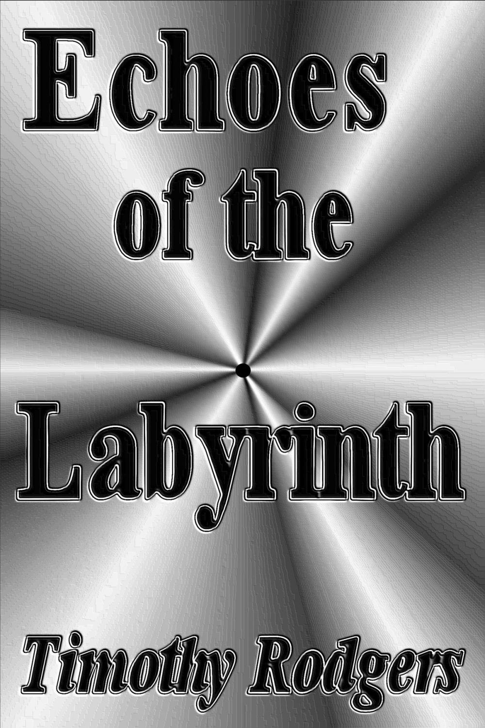 Big bigCover of Echoes of the Labyrinth