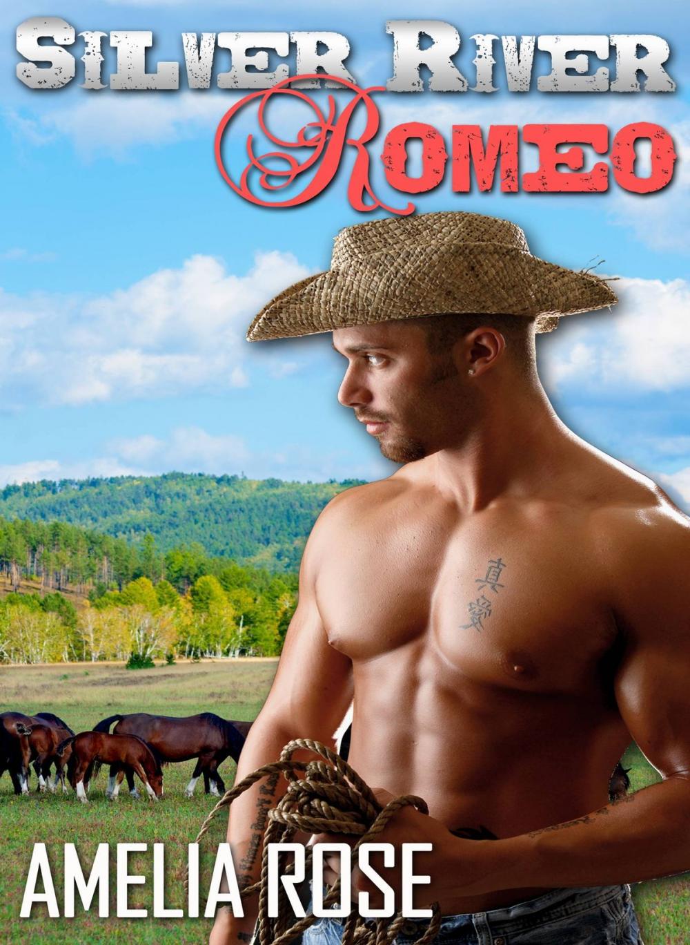 Big bigCover of Silver River Romeo - Cole's story (Western Cowboy Romance)