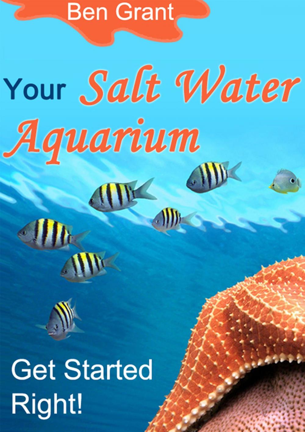 Big bigCover of Your Salt Water Aquarium
