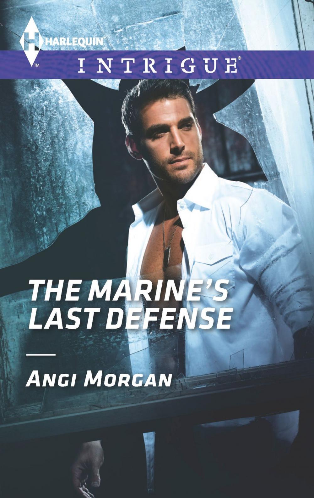 Big bigCover of The Marine's Last Defense